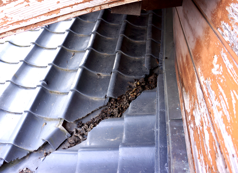 屋根の上にもハクビシンの糞 大事なのは後のメンテナンス 商品情報 撃退 ファクトリードットコム